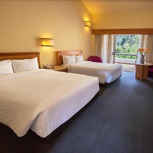 Standard Queen Room Two Queen Beds